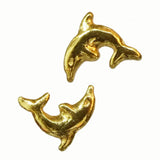 Dolphin Tooth Gem